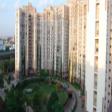 Residential Apartment 4 Bhk  Rent MG Road Gurgaon